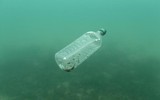 [ẢNH] Rác thải nhựa đang phá hủy đại dương thế nào?